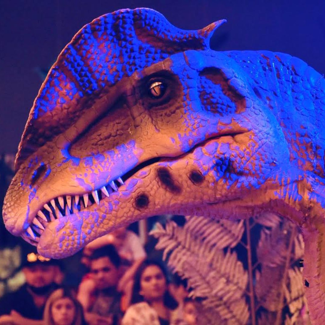 Close-up of a dinosaur. 