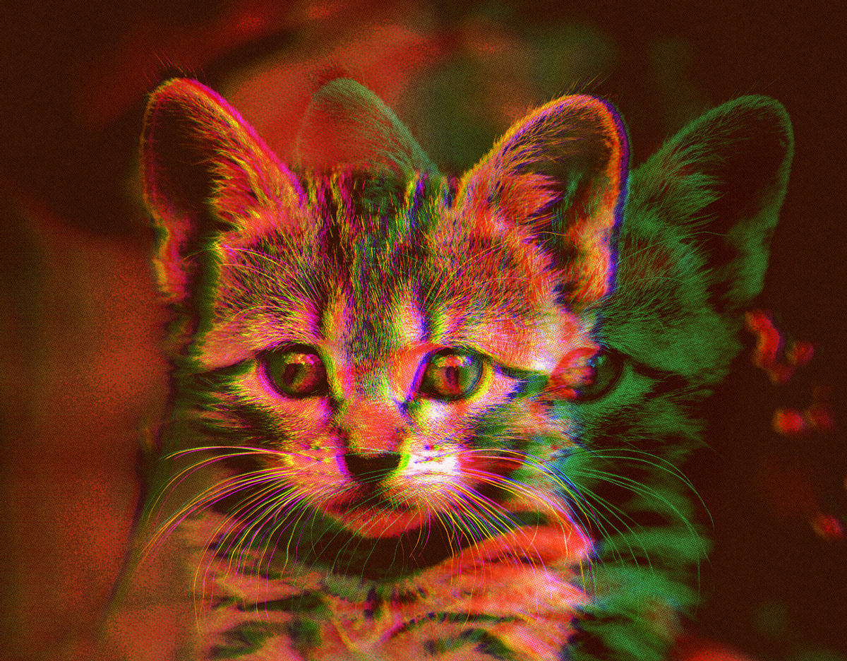 A cat with a filter effect.